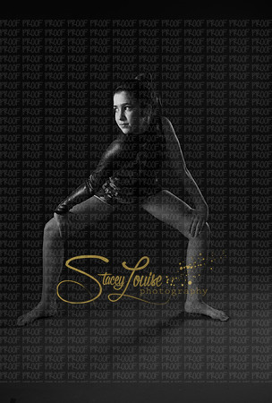 day2 gray_003