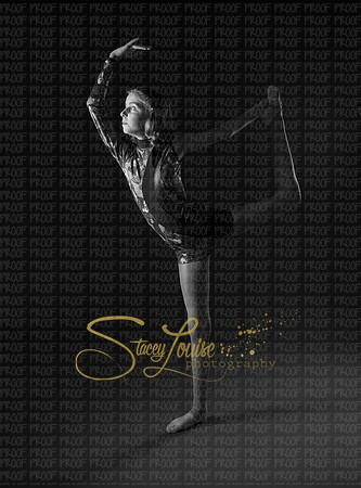day2 gray_001