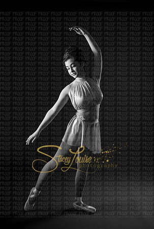 day1_gray_031